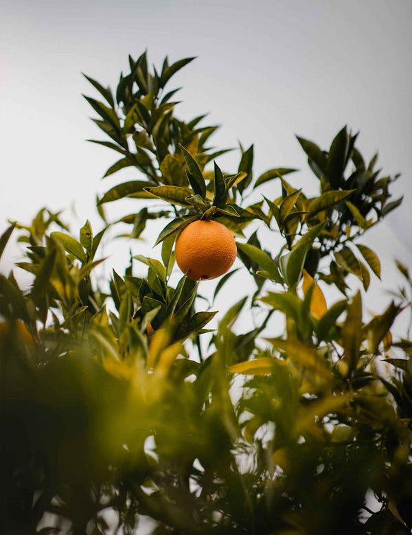 With you every step of the way with our Breathe, Live and Rest Calm sets.