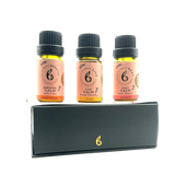 B Calm Studio Starter Bundle