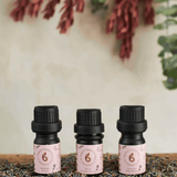 Breathe Calm Essential Oil Set