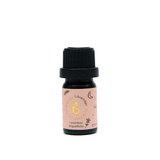 B Calm Professional Studio Bundle